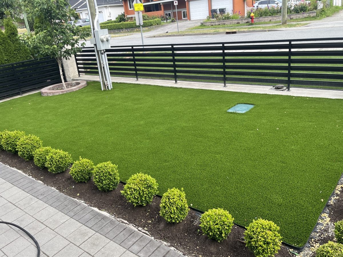 Artificial Turf / Lawn
